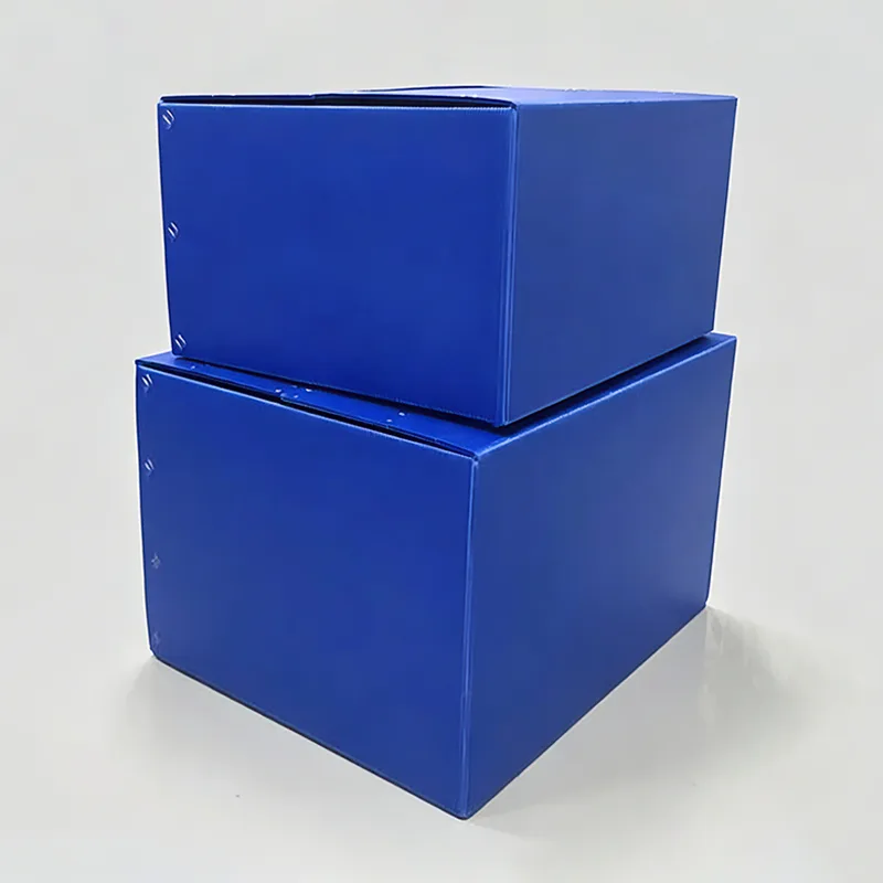 Karaniwang PP Hollow Sheet Turnover Box